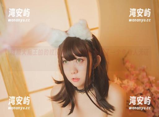 甜糖大魔王的豹纹图包，打开就像打开了一个龟仙人无证小屋!